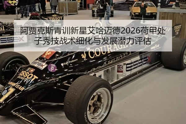 a-jia-ke-si-qing-xun-xin-xing-ai-ha-mai-de-he-jia-chu-zi-xiu-ji-zhan-shu-xi-hua-yu-fa-zhan-qian-li-ping-gu-2-372.jpg