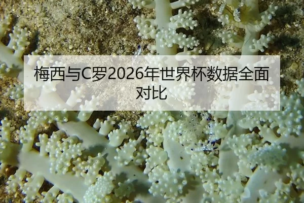 梅西与C罗2026年世界杯数据全面对比