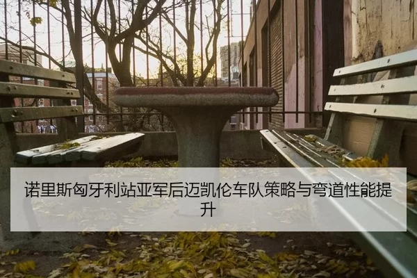 诺里斯匈牙利站亚军后迈凯伦车队策略与弯道性能提升